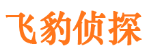 宽甸侦探公司